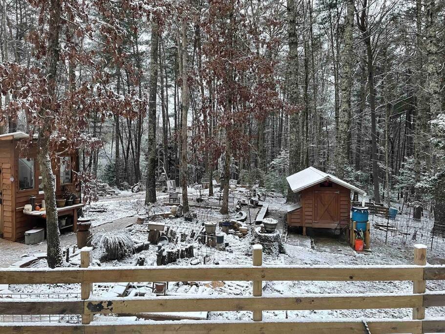 Beautiful & Peaceful Cabin W/ Deck Garden & Fire-Pit マーフィ エクステリア 写真