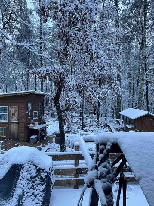Beautiful & Peaceful Cabin W/ Deck Garden & Fire-Pit マーフィ エクステリア 写真