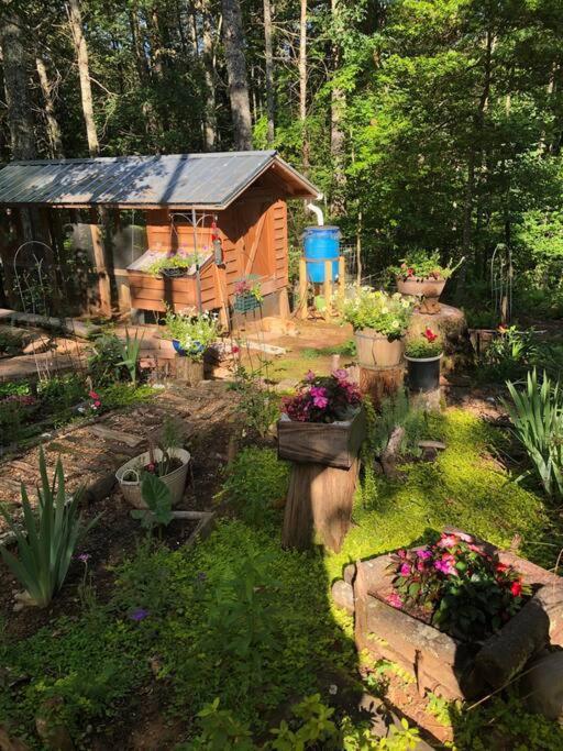 Beautiful & Peaceful Cabin W/ Deck Garden & Fire-Pit マーフィ エクステリア 写真