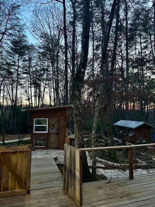 Beautiful & Peaceful Cabin W/ Deck Garden & Fire-Pit マーフィ エクステリア 写真