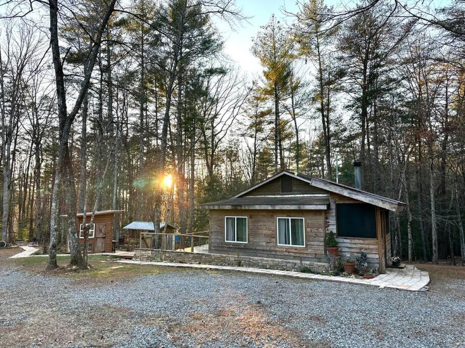 Beautiful & Peaceful Cabin W/ Deck Garden & Fire-Pit マーフィ エクステリア 写真
