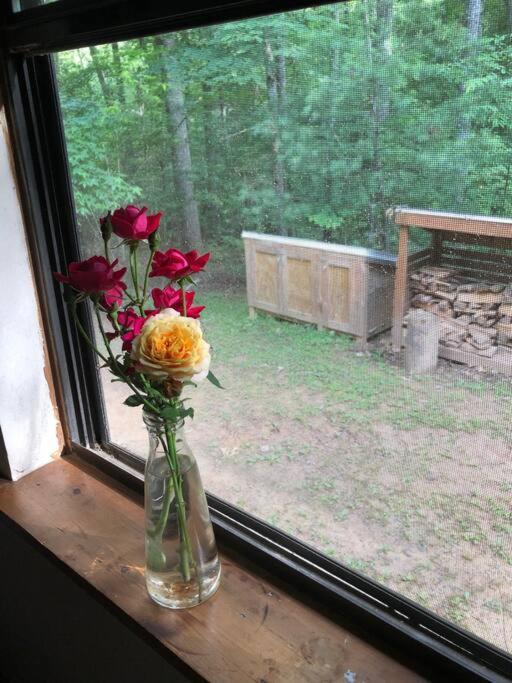 Beautiful & Peaceful Cabin W/ Deck Garden & Fire-Pit マーフィ エクステリア 写真